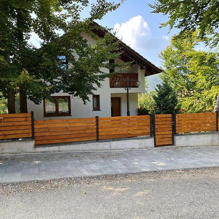 Casa De Vacanta Mogosa Baia Sprie Extérieur photo