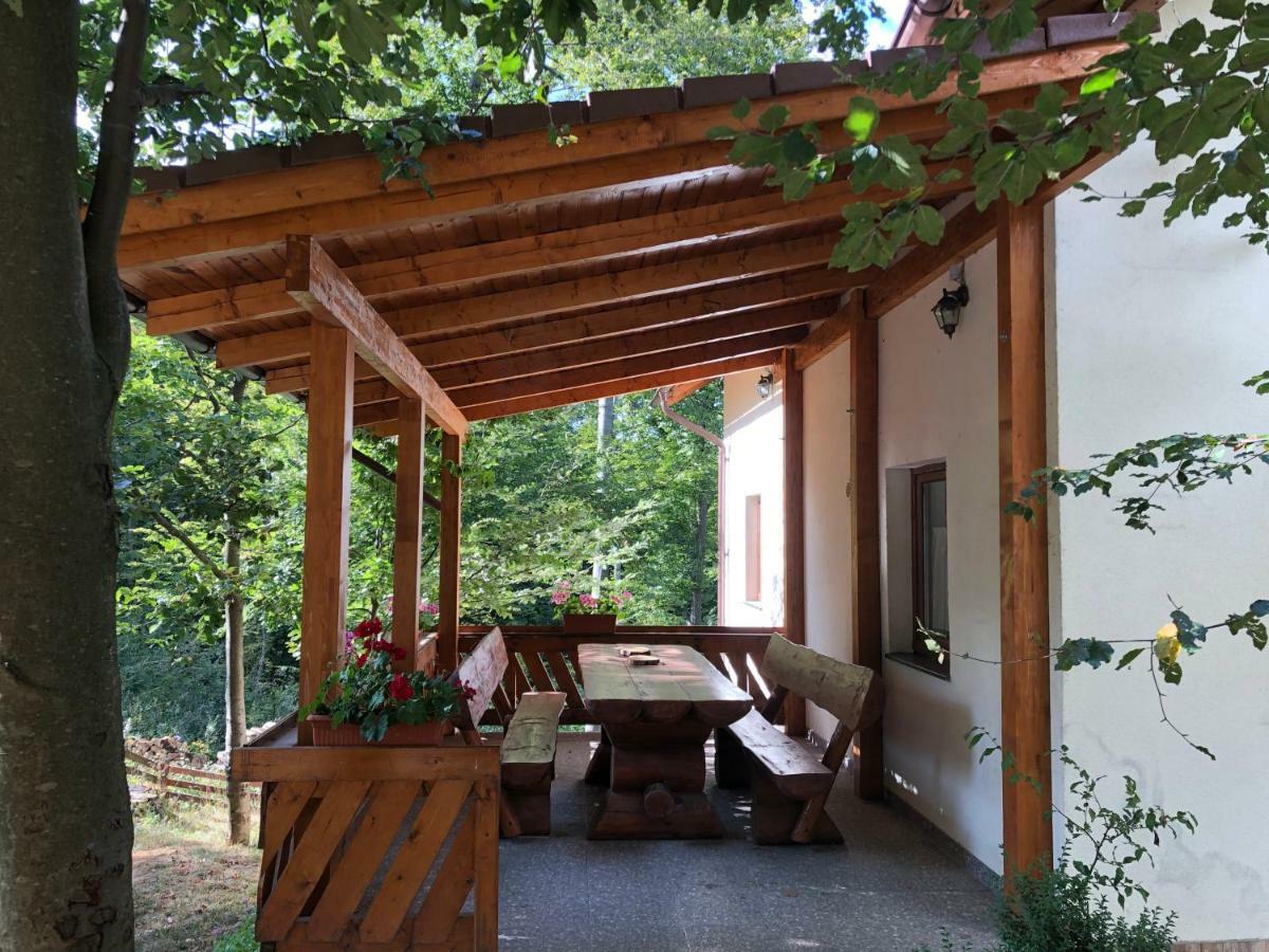 Casa De Vacanta Mogosa Baia Sprie Extérieur photo